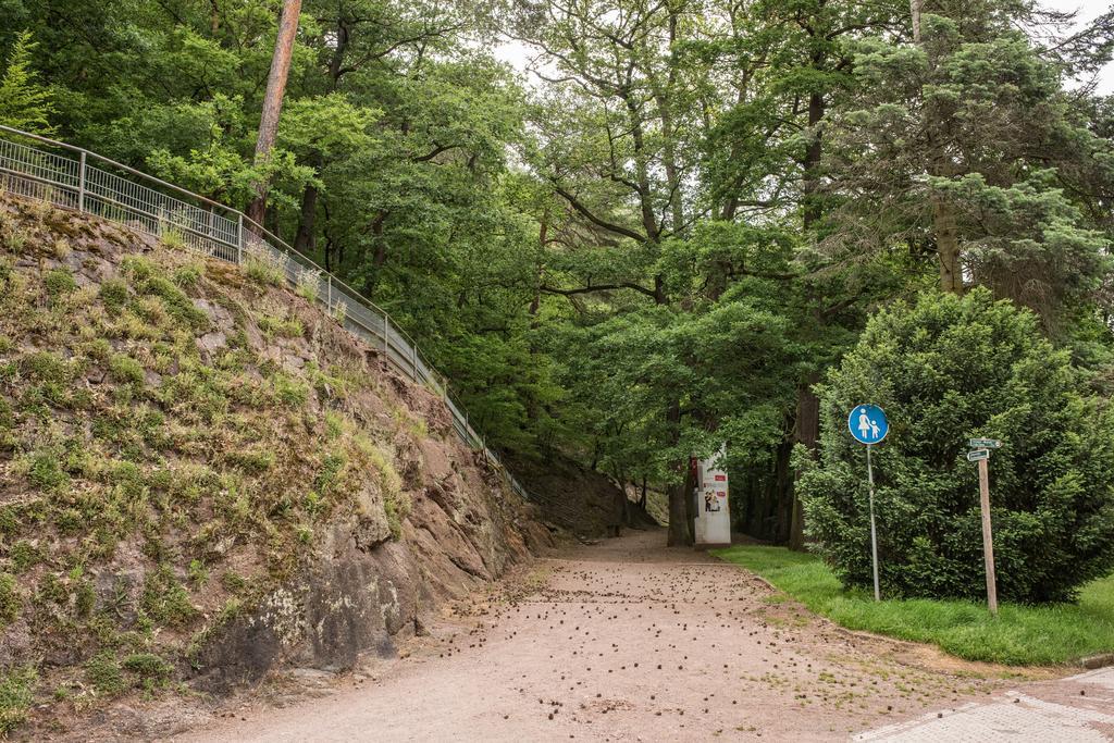 Loftwohnung Mit Sauna - Natur Und Kultur In Eisenach Erleben Und Geniessen Kültér fotó
